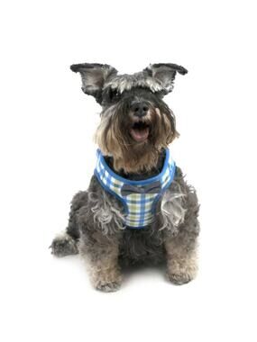 Vibrant Life Blue and Green Plaid Bow Tie Harness Size Small